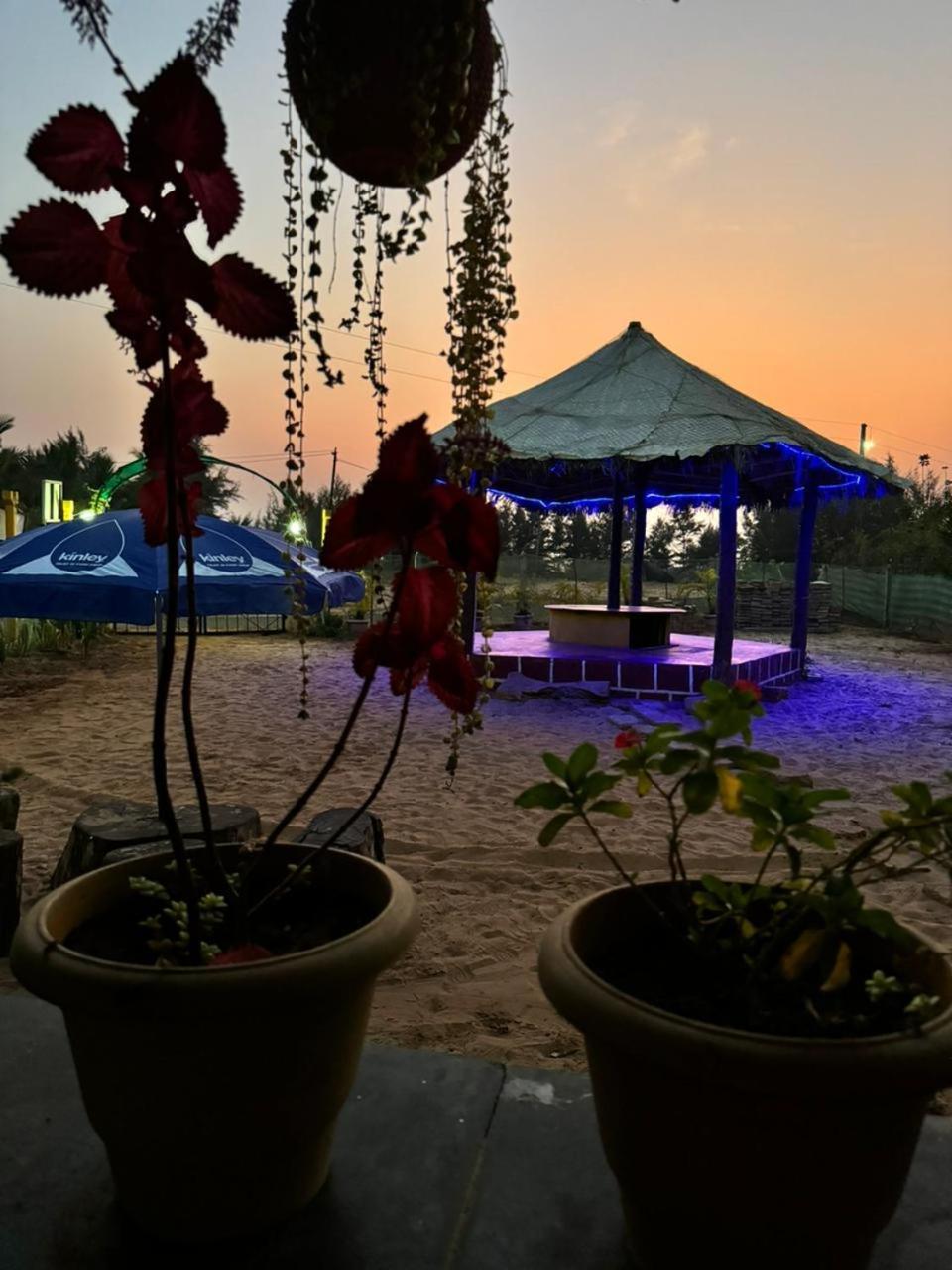 Turtle Beach House Vengurla المظهر الخارجي الصورة