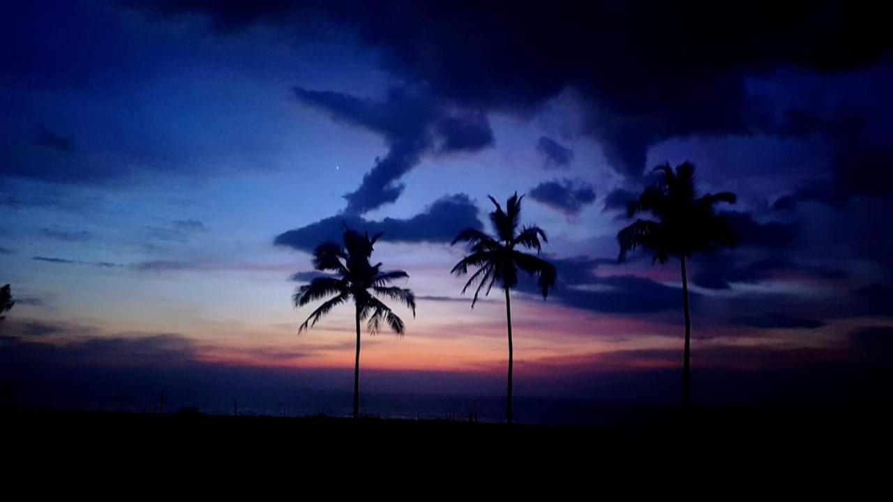 Turtle Beach House Vengurla المظهر الخارجي الصورة